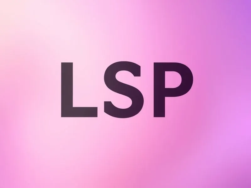 LSP.webp