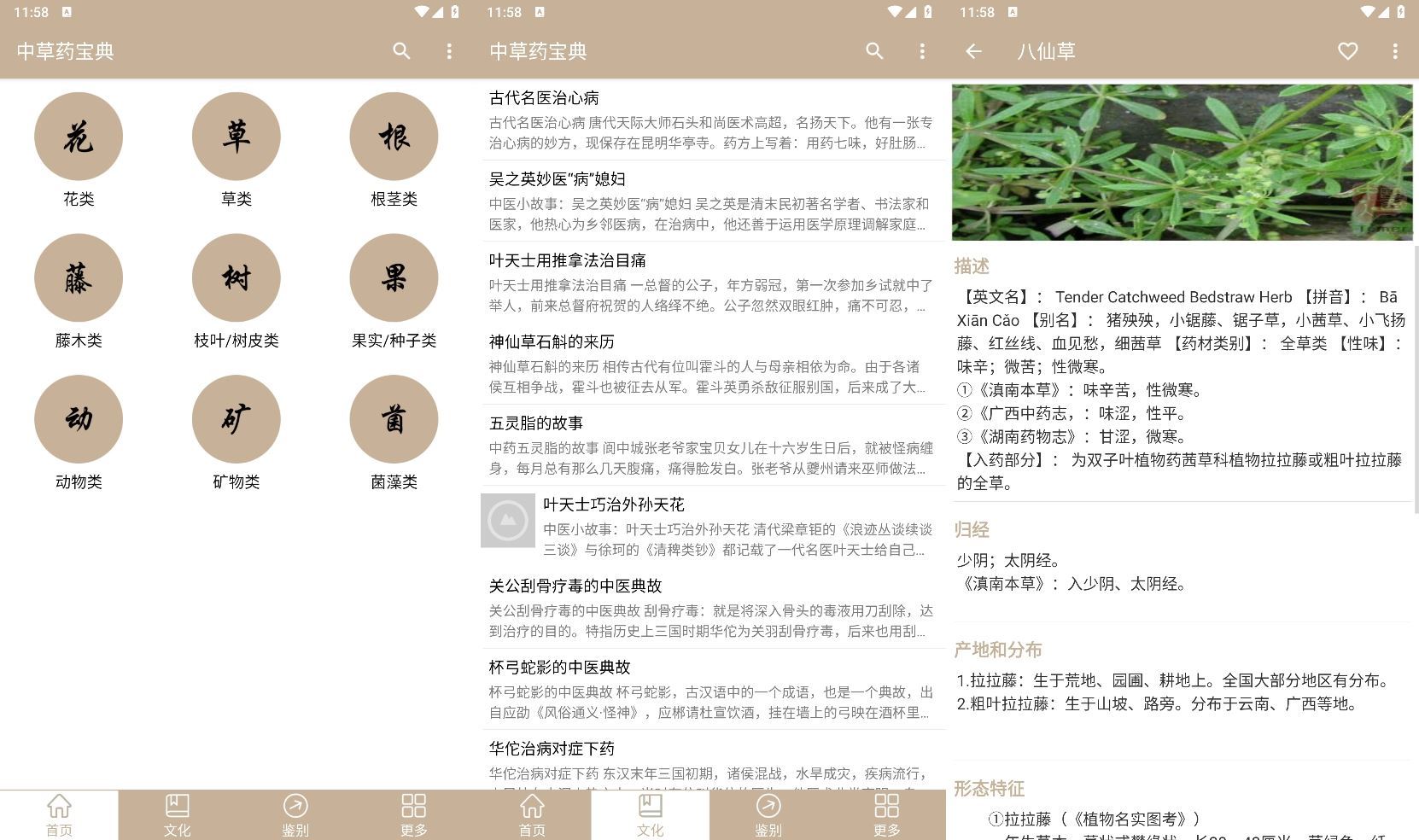 安卓中草药宝典v2.6.12纯净版--第6张图片