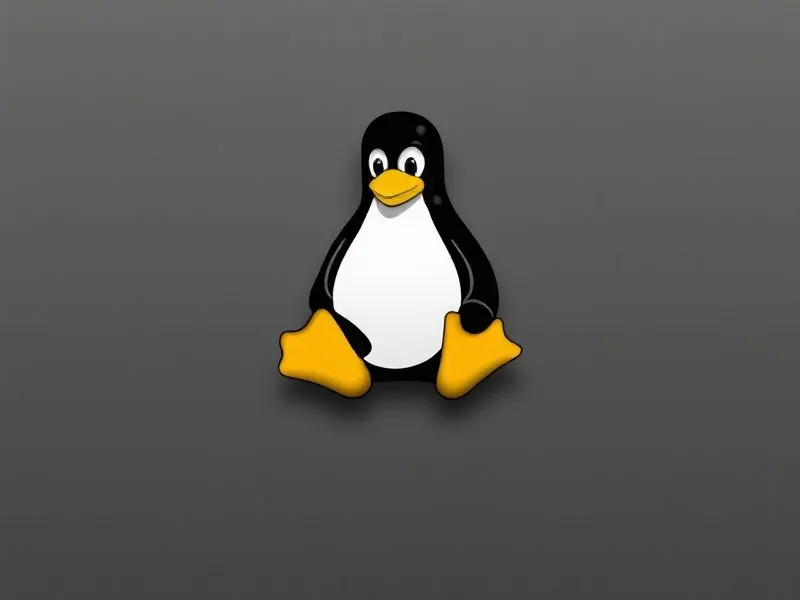 Linux网络配置