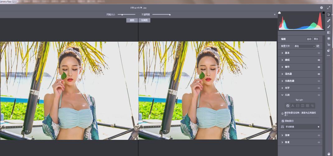 Adobe Camera Raw(RAW处理工具)v18.0.0中文版--第4张图片