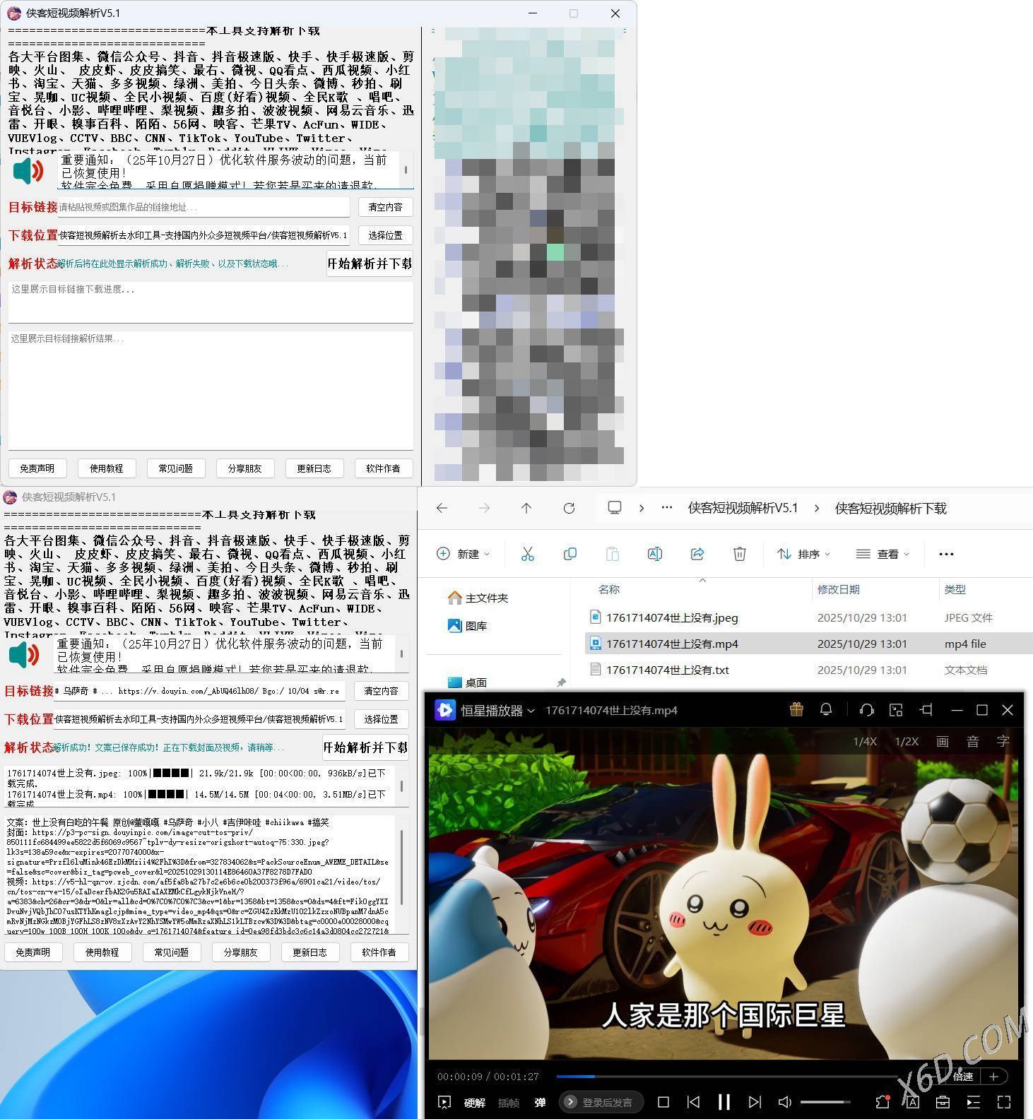 侠客多平台短视频解析去水印工具 V5.1--第4张图片