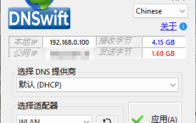 高效DNS切换工具-DNSwift v1.1中文字版