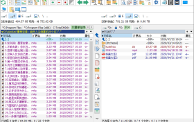 Total Commander v11.55增强版发布