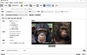 HandBrake视频转换器v1.10.1绿版