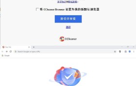 CCleaner快速私密浏览器 v142.0.32864.61
