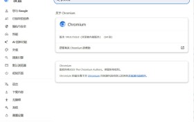 Chromium浏览器 v144.0.7532.0 绿色版
