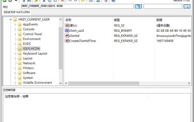 RegCool注册表编辑v1.326绿色版