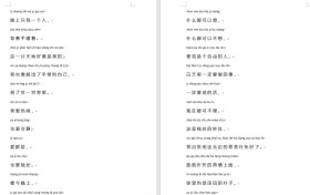 汉字转拼音 v.1.0 支持导出excel、word