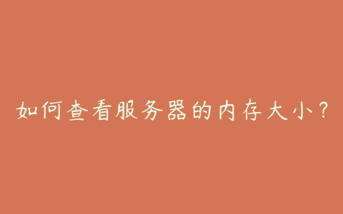 如何查看服务器的内存大小？