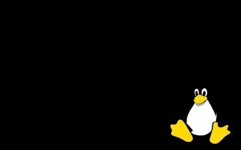 Linux系统命令之iptables使用方法详解