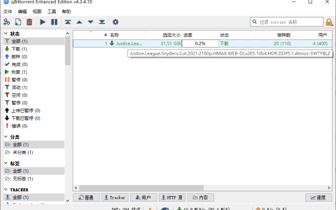 qBittorrent v5.1.0.10增强版