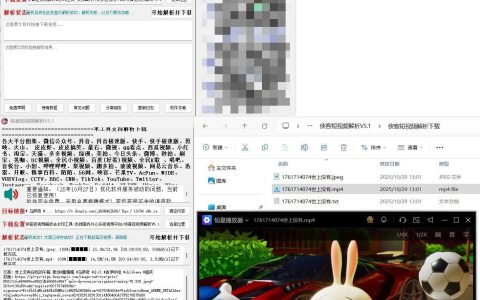 侠客多平台短视频解析去水印工具 V5.1